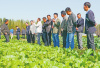 农业部：到2020年中国新型职业农民将达2000万人
