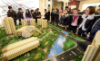 杭州对房地产投机实施精细围堵，暂停企事业单位买住房