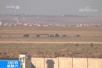 关注叙利亚德拉省局势：叙政府军收复叙约边境口岸