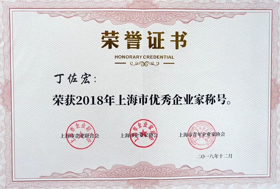 丁佐宏当选2018年上海市优秀企业家