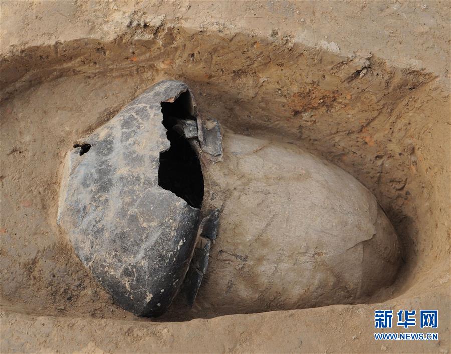 （图文互动）（1）郑州考古实证5000多年前中国先民已育蚕制丝