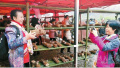 始兴举办民俗文化旅游节活动 6000游客与“春菇”精彩约会