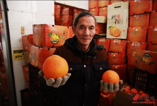 大学生辞职创业卖橙子 4万斤滞销一夜急白头-