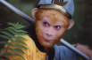 1959年4月12日 (己亥年三月初五)|“美猴王”六小龄童(章金莱)出生