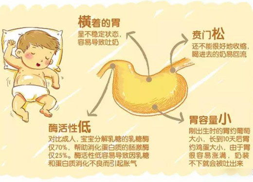呕奶有可能会导致孩子生长发育过慢-中国搜索