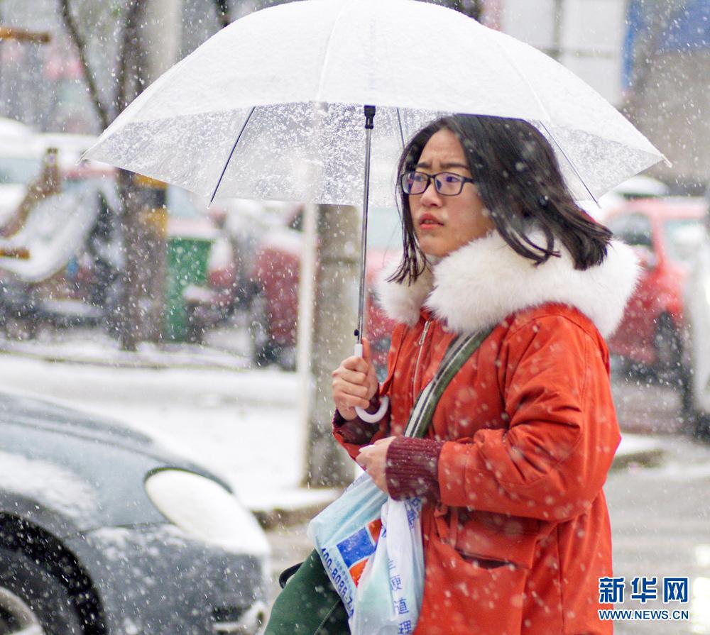 安徽发布最高级别暴雪预警 最厚积雪量已达26