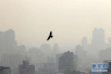 北京蓝是风帮忙？专家：空气质量改善主要靠人努力