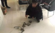 江西男子在“快手”发布夹野生动物视频，被行政处罚