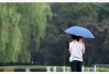 端午节北京有小到中雨　外出游玩不要忘记带伞