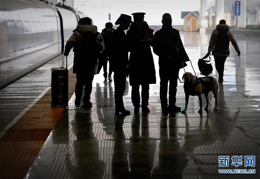 （社会）（8）导盲犬坐高铁：让视障旅客出行无障碍