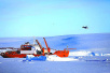 南极大洋科考关注些什么：“小个头大学问”的南极磷虾
