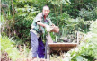 61岁的浙江浦江农民：600米长的山路他一个人守护了8年