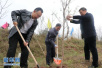 驻马店正阳县强力推进创森工作　全面掀起植树造林高潮
