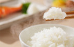 吃米和吃面到底哪个好？是时候告诉你真相了！
