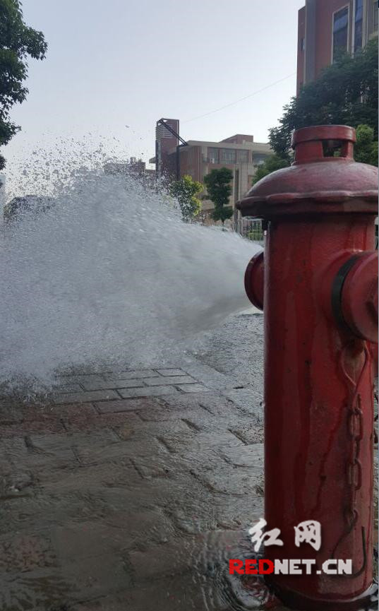 长沙一消防栓喷水成喷泉 市民骑车经过险酿惨祸