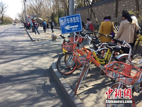 共享单车越来越多，出现在大街小巷。<a target='_blank' href='http://www.chinanews.com/' >中新网 吴涛 摄
