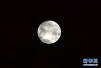 1月31日“超级月亮”出现在美国芝加哥上空