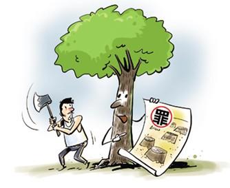 无证砍伐自家桉树 男子被判缓刑罚款-中国搜索