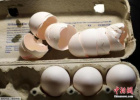 奥地利进口蛋制品现杀虫剂成分　食安局：不足以危害健康