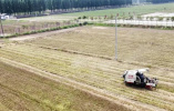 河南罗山县42.69万亩小麦收割完毕 机收率达99%
